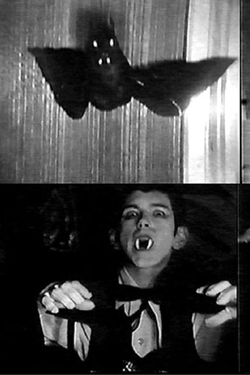 Frankenstein Meets Dracula Poster