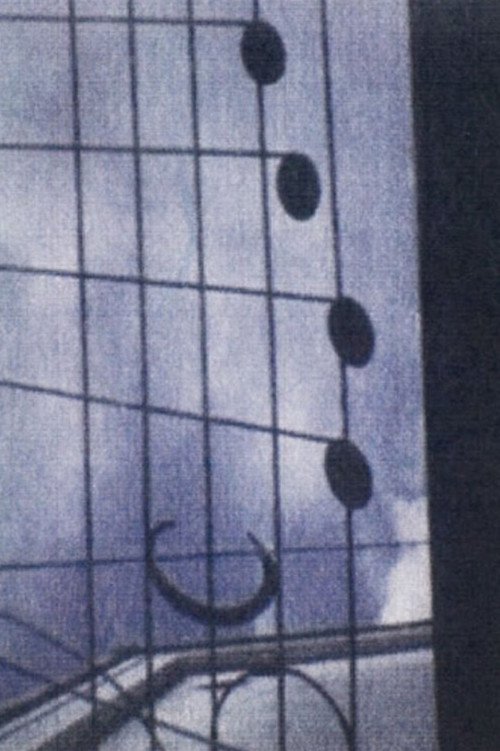 This World (A Correspondence Between Naomi Kawase and Hirokazu Koreeda) Poster