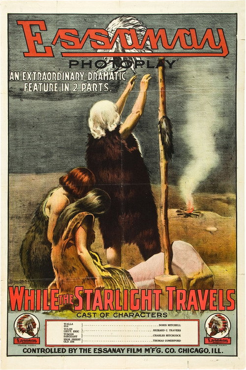 While the Starlight Travels Poster