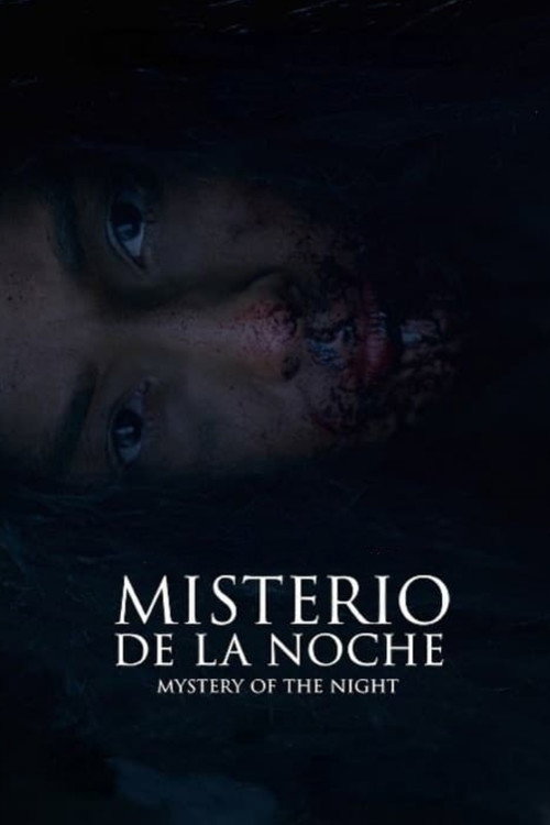 Mystery of the Night Poster