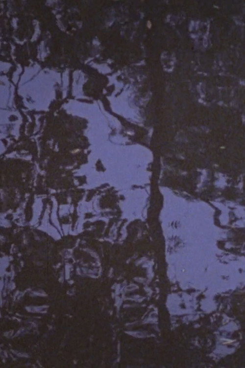 Trees in the River, Kent OH Poster