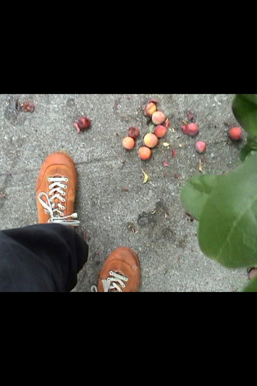 The Hairy Horror Poster