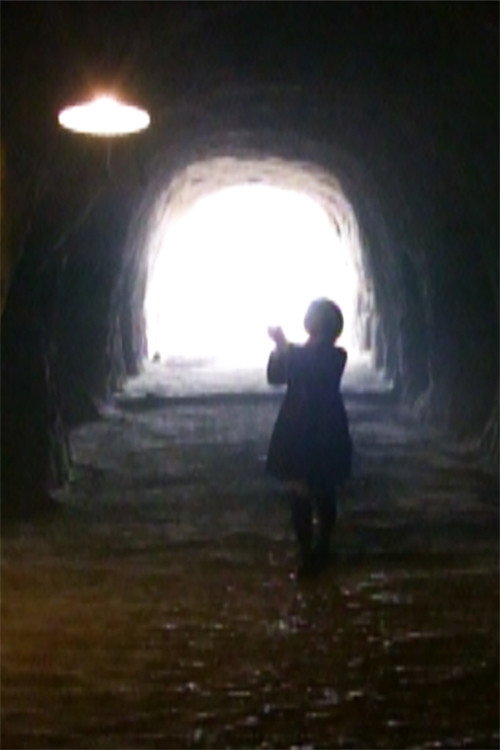 Palm Forest at Night Poster