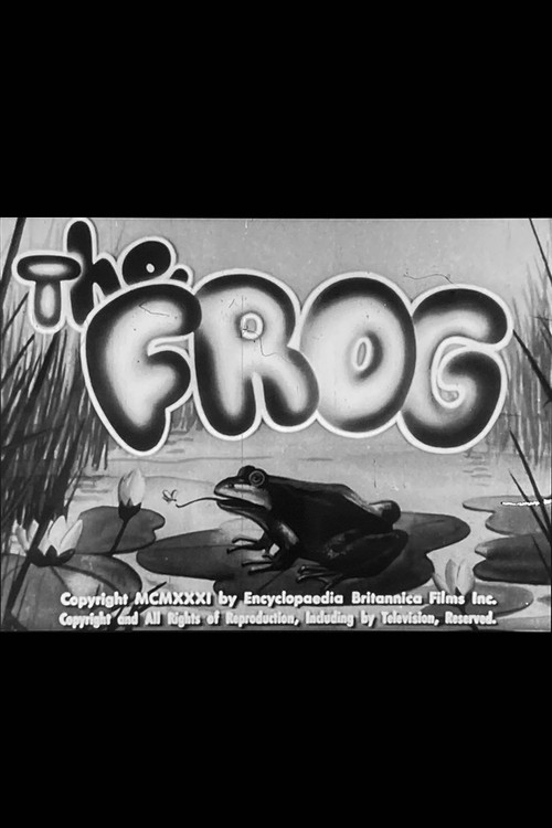 The Frog Poster