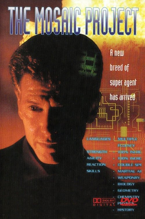 The Mosaic Project Poster