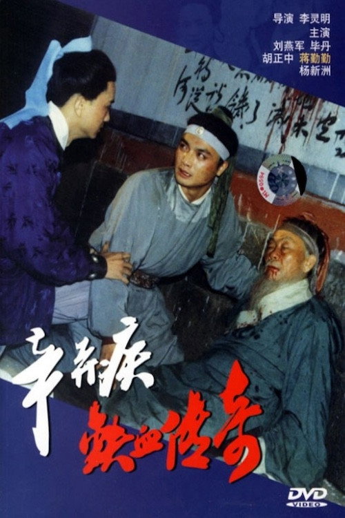 辛弃疾铁血传奇 Poster
