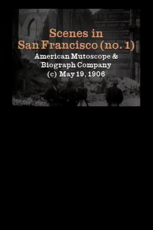 Scenes in San Francisco. [No. 1] Poster