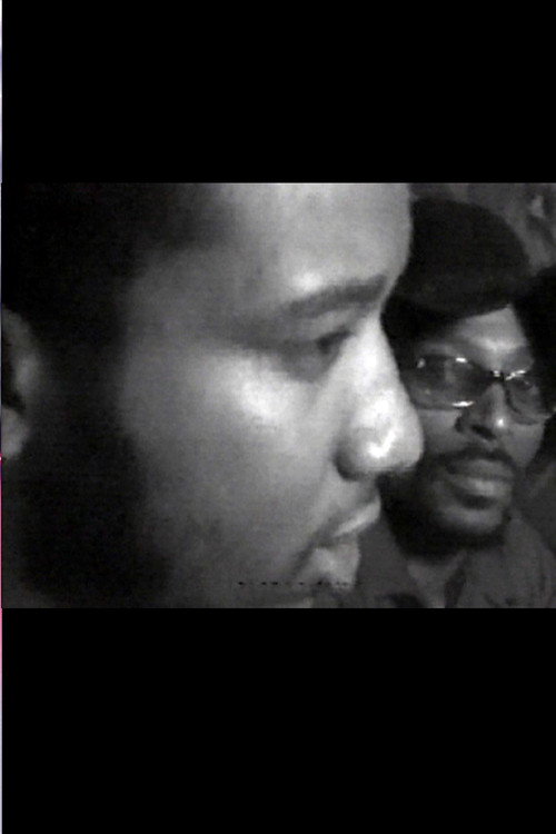 Fred Hampton: Black Panthers in Chicago Poster