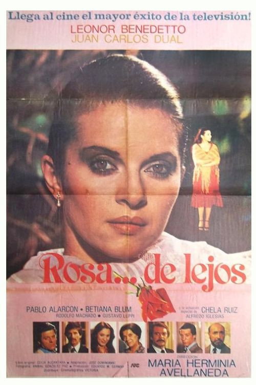 Rosa de lejos Poster