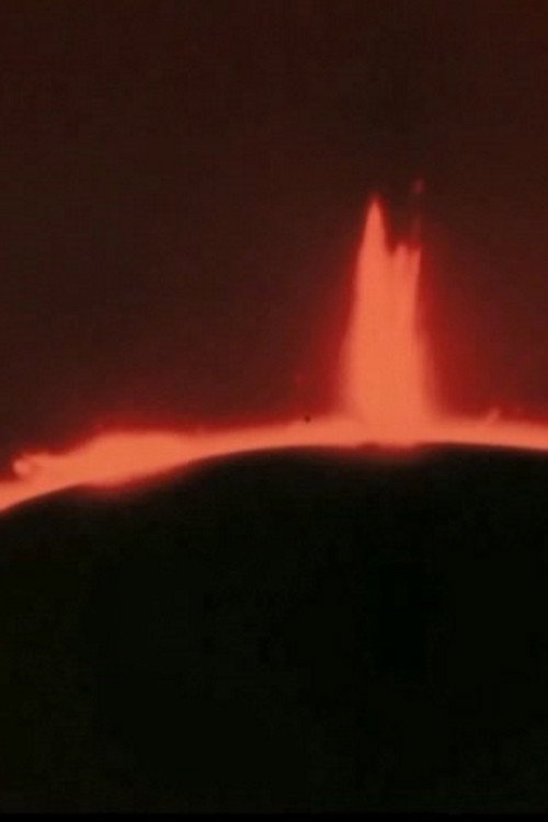 The World of Pulses - Electronics and Living Organism Poster