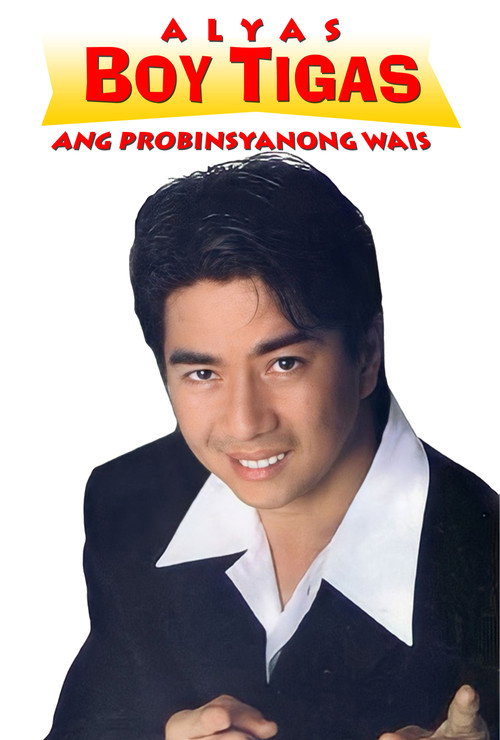 Alyas Boy Tigas: Ang probinsyanong wais Poster