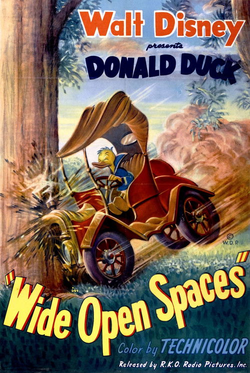 Wide Open Spaces Poster
