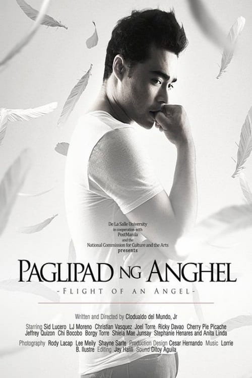 Flight of an Angel Poster
