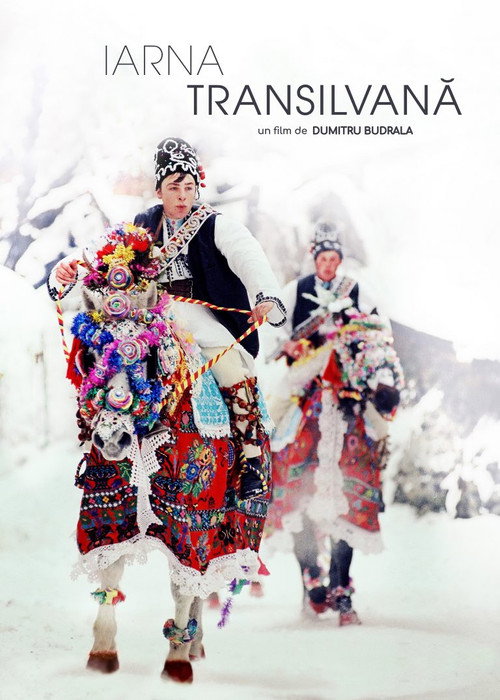 Transylvanian Winter Poster