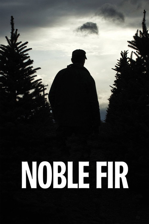 Noble Fir Poster