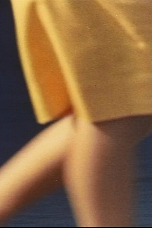 Fibers from the Sun Poster