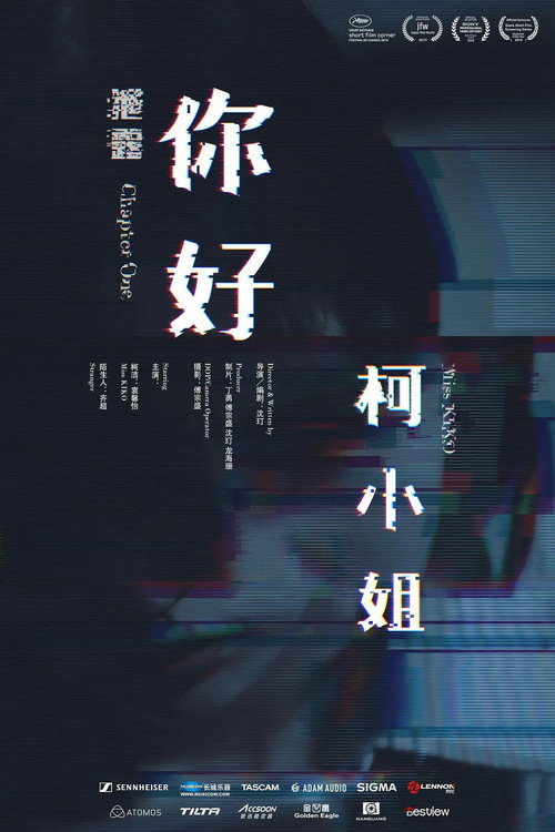 你好，柯小姐 Poster