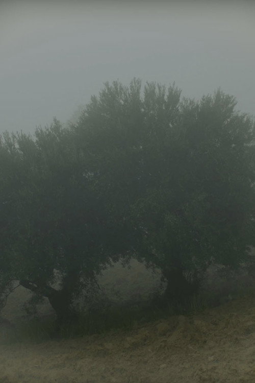 Why Do I See You in Everything? Poster