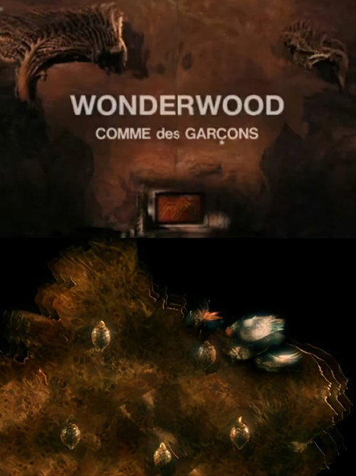 Wonderwood: Comme des garçons Poster