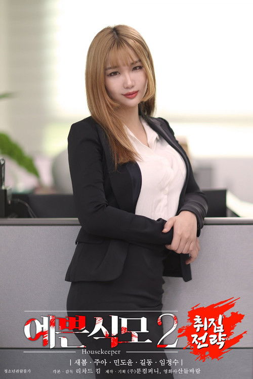 Pretty Housekeeper 2: Collection Strategy Poster