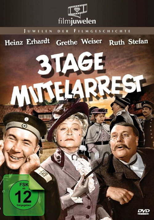 Drei Tage Mittelarrest Poster