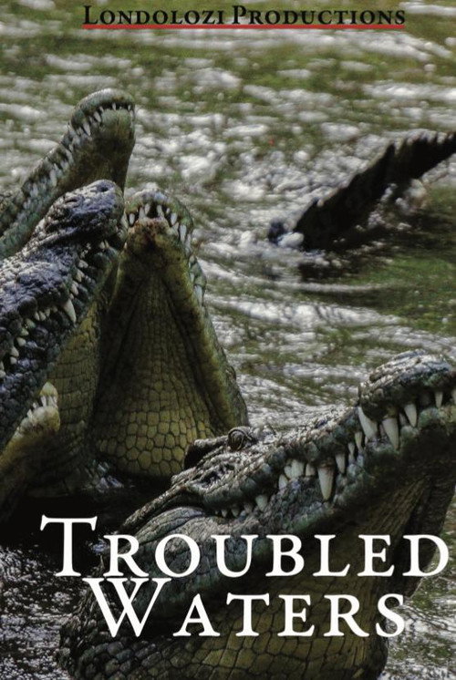 Troubled Waters Poster