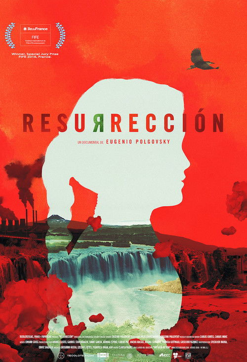 Resurrection Poster