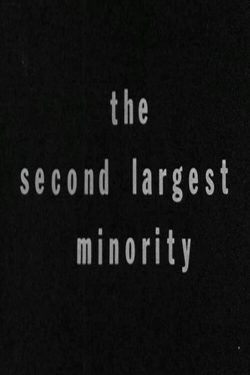 The Second Largest Minority Poster