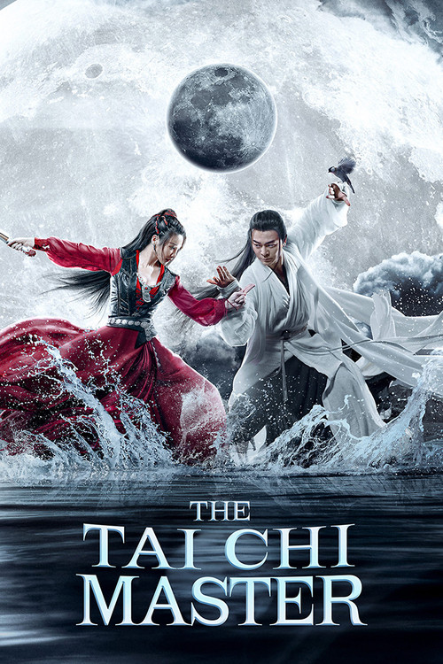 The Tai Chi Master Poster