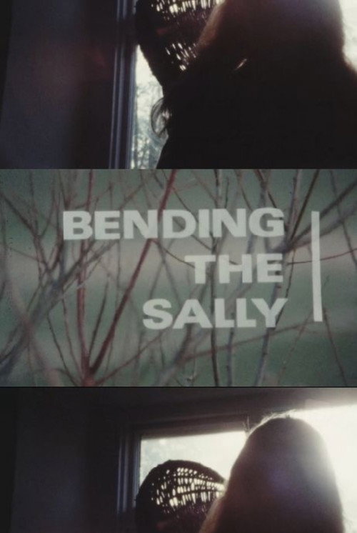 Bending the Sally Poster
