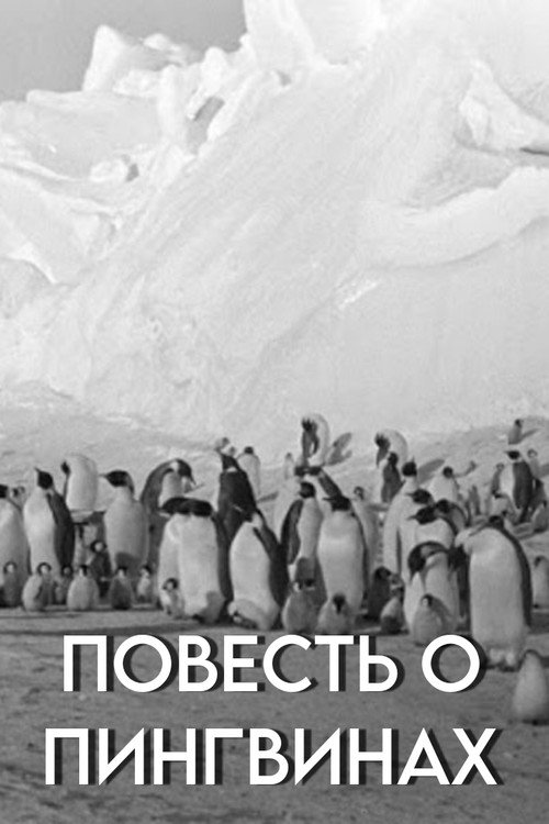 Tale of the Penguins Poster