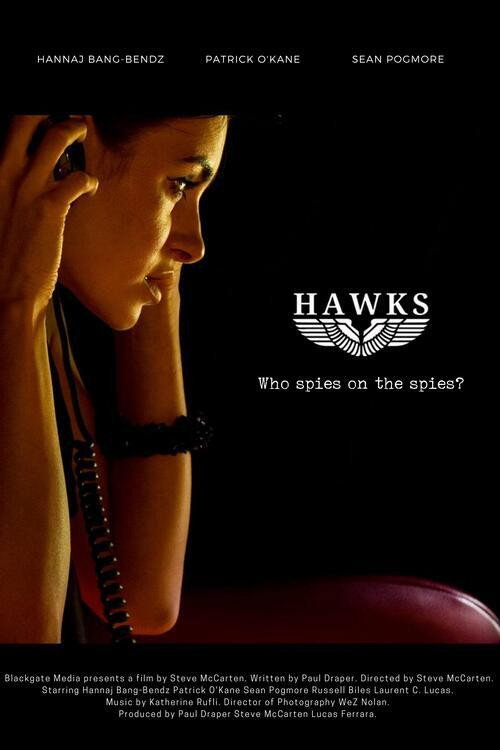 Hawks Poster