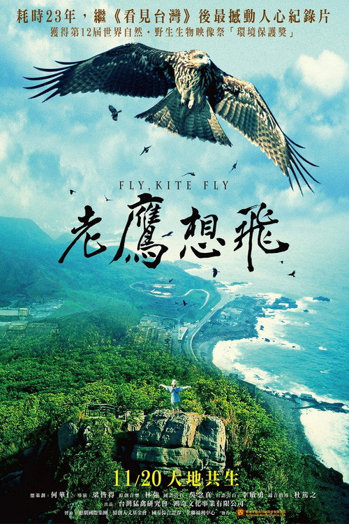 Fly, Kite Fly Poster