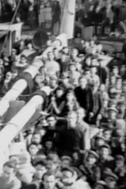 Waves of Freedom Poster