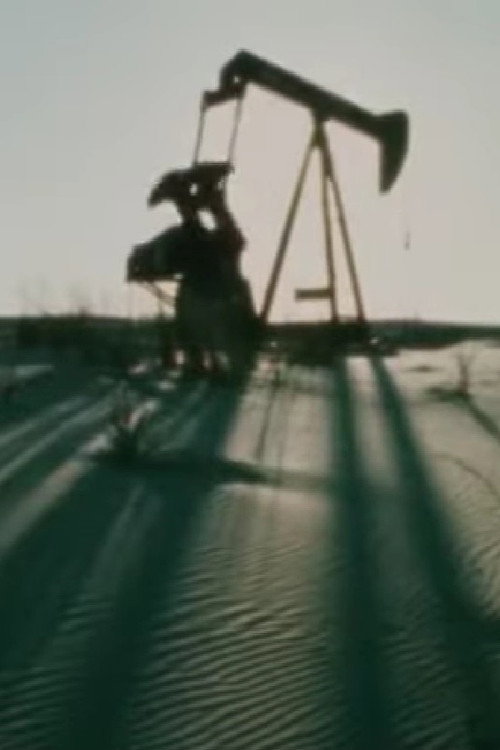 Taming the Wildcat Poster