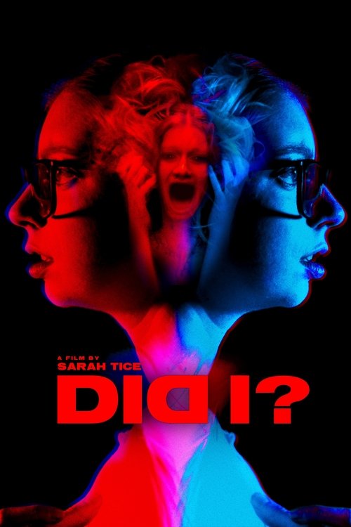 DID I? Poster