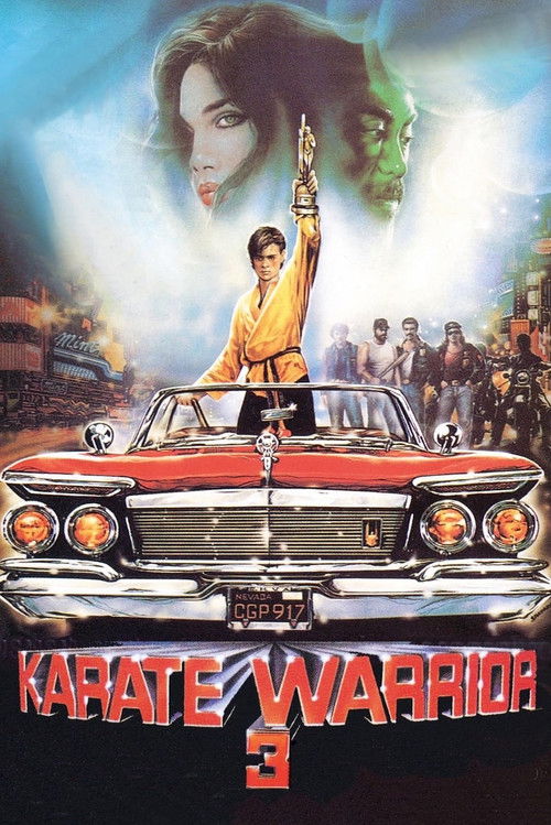 Karate Warrior 3 Poster