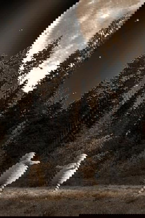 The Institute of The Dream Poster