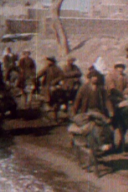 Sherriff Kodacolour No. 2 Poster