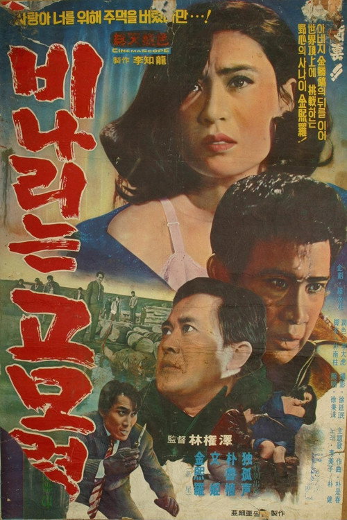 Rainy Gomoryeong Hill Poster
