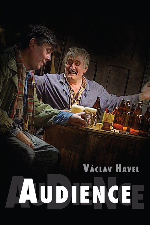 Audience Poster