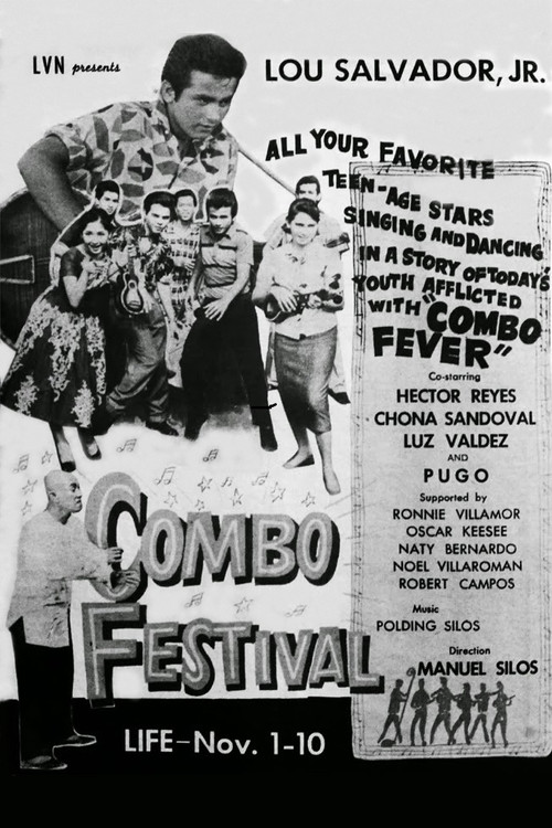 Combo Festival Poster