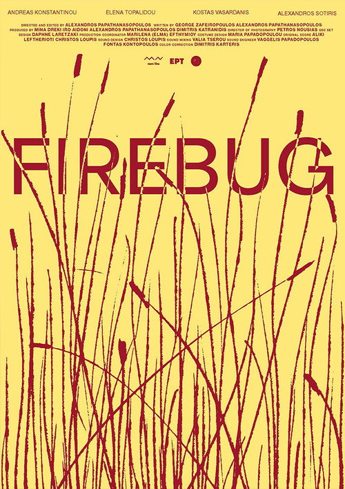 Firebug Poster