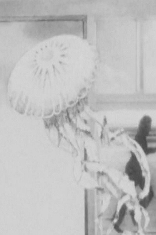 The Jellyfish Poster