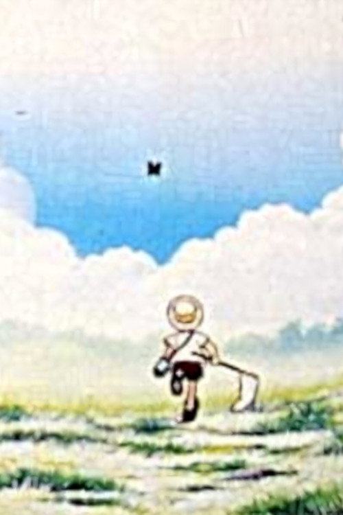 Essays On Insects Poster