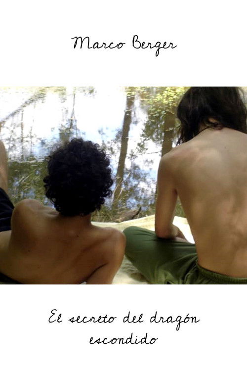 The secret of the hidden dragon Poster