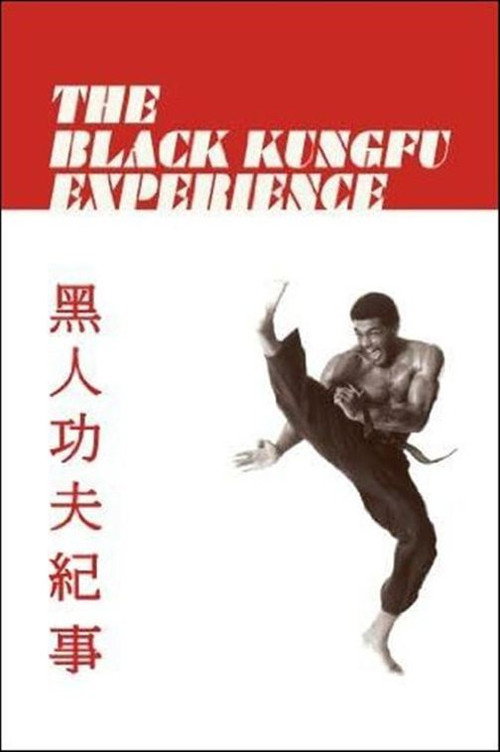 The Black Kung Fu Experience Poster