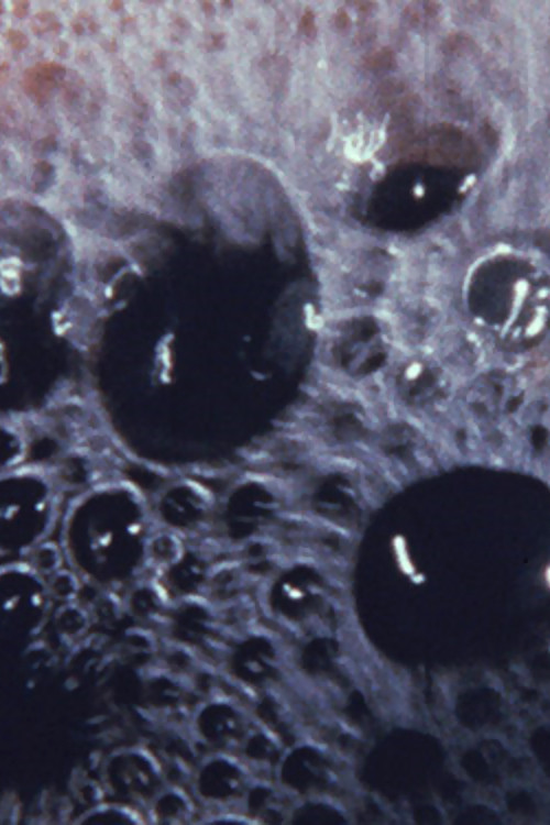 The Play of Life Poster