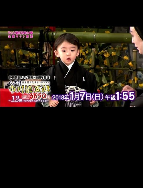 八代目市川染五郎 密着3650日～12歳・若武者が生まれるとき～ Poster