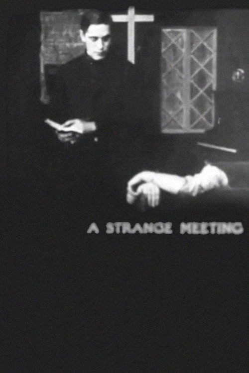 A Strange Meeting Poster